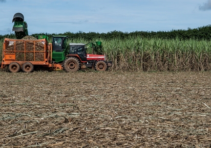 A solução pela cana qual é o potencial de produção da bioenergia no Brasil A solução pela cana qual é o potencial de produção da bioenergia no Brasil