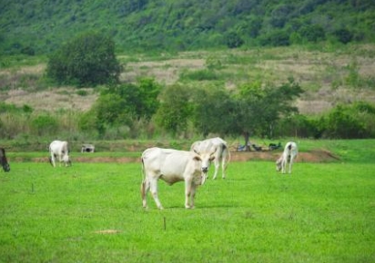 Agro sustentável contribui para o Brasil antecipar metas de redução de emissão de CO2 Agro sustentável contribui para o Brasil antecipar metas de redução de emissão de CO2