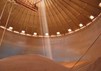 Déficit de armazenagem de grãos no Brasil chega a 74 milhões de toneladas