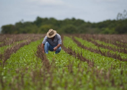 País terá política para aumentar participação no mercado agrícola internacional País terá política para aumentar participação no mercado agrícola internacional