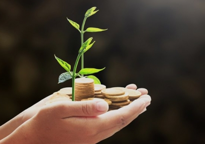 Valor Bruto da Produção Agropecuária em 2019 deve superar o deste ano Valor Bruto da Produção Agropecuária em 2019 deve superar o deste ano