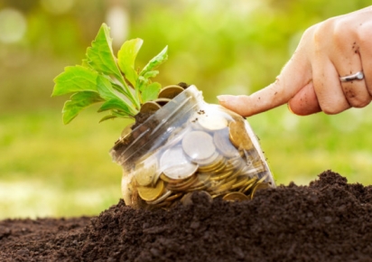 Valor da Produção Agropecuária é de R$ 588,8 bilhões Valor da Produção Agropecuária é de R$ 588,8 bilhões